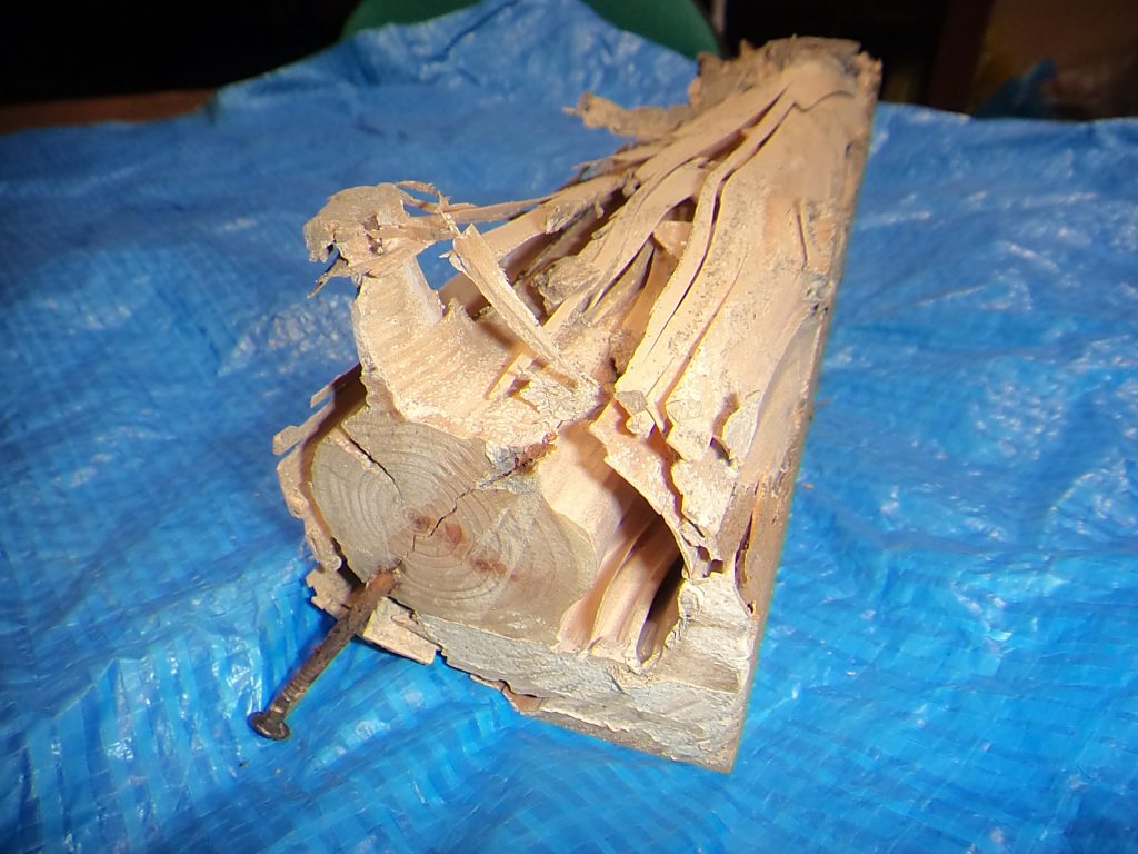シロアリによるヒノキ材の食害の被害画像