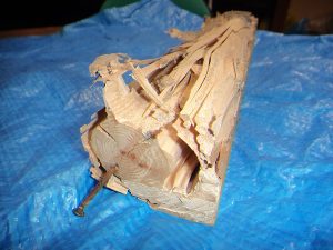 シロアリによるヒノキ材の食害の被害画像