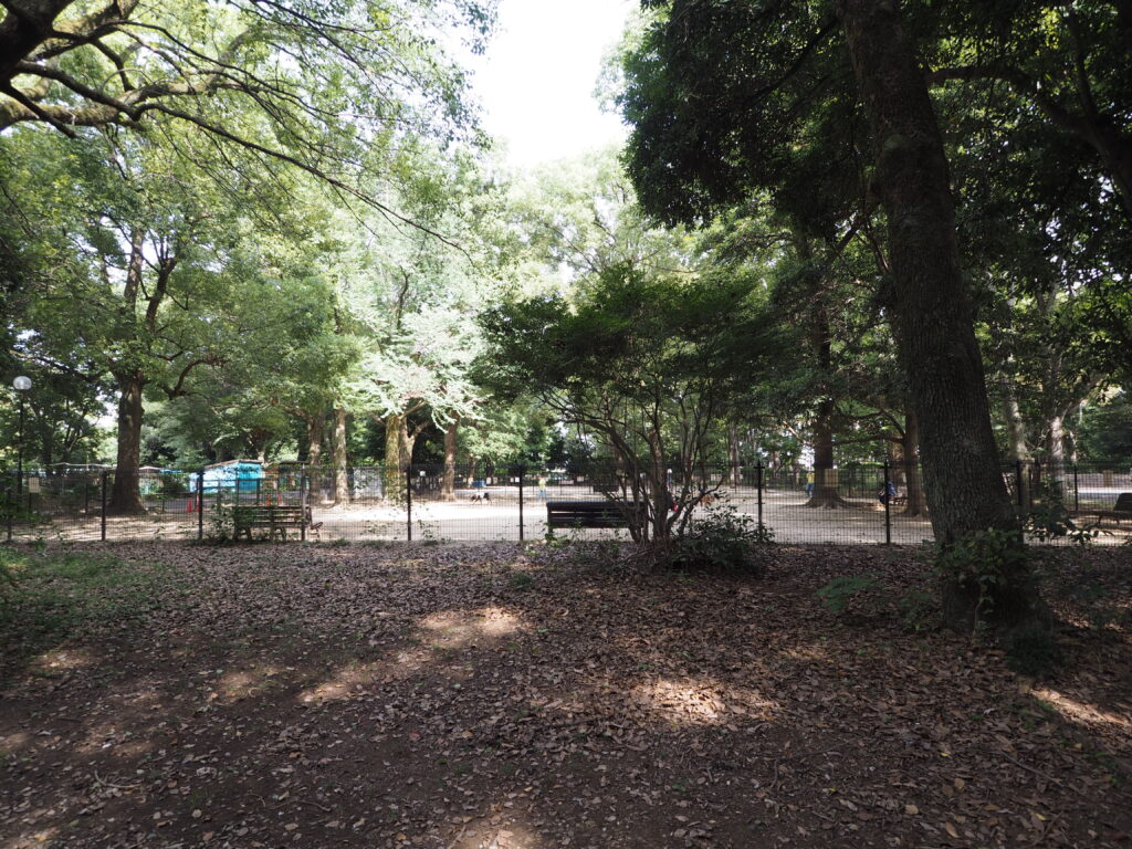 埼玉県所沢市にある所沢航空記念公園内に有るドッグラン施設です。小型犬と大型犬のスペースが区切られています。ドッグランの柵や公園内の木々が写っています。