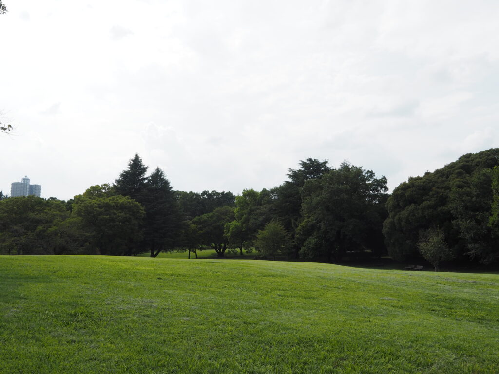 埼玉県所沢市にある所沢航空記念内の芝生エリアには多くの木々や遠くに高層マンションが写っています。