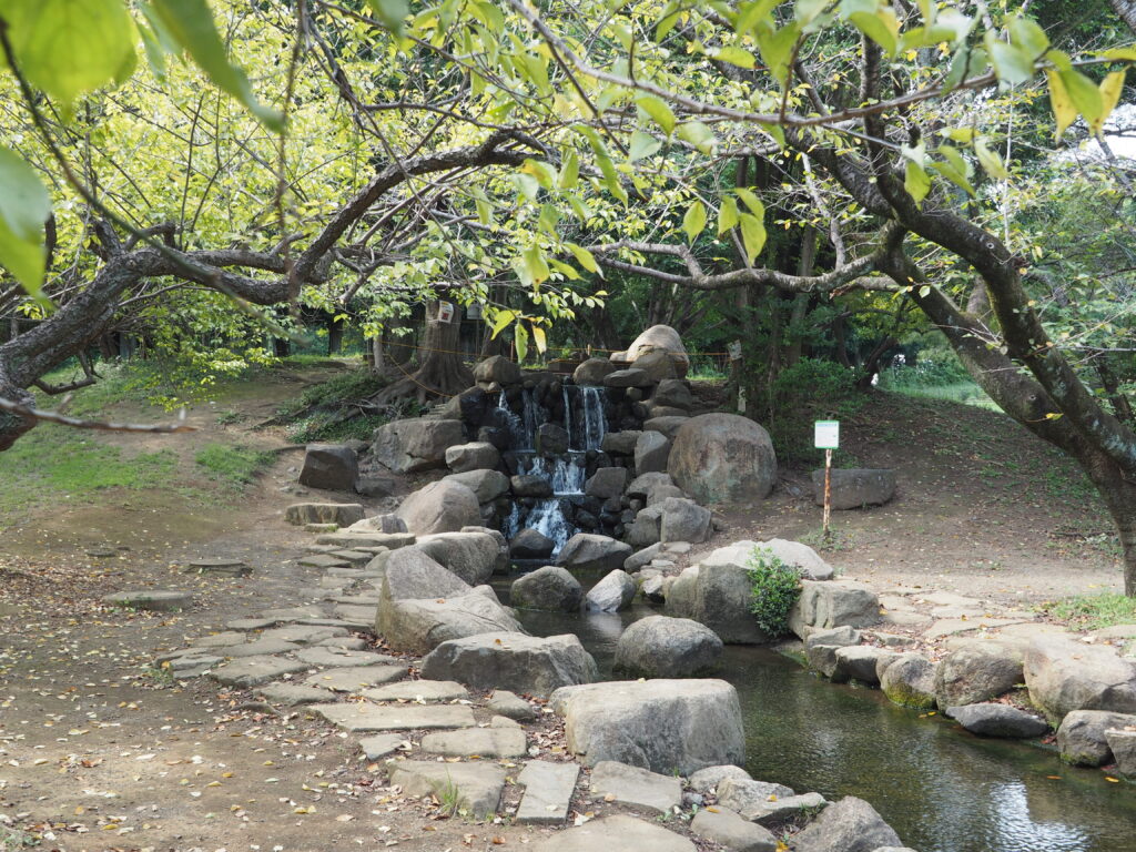 埼玉県所沢市にある所沢航空記念内のむさしの川、小さな滝と川や積石と木々が写っています。