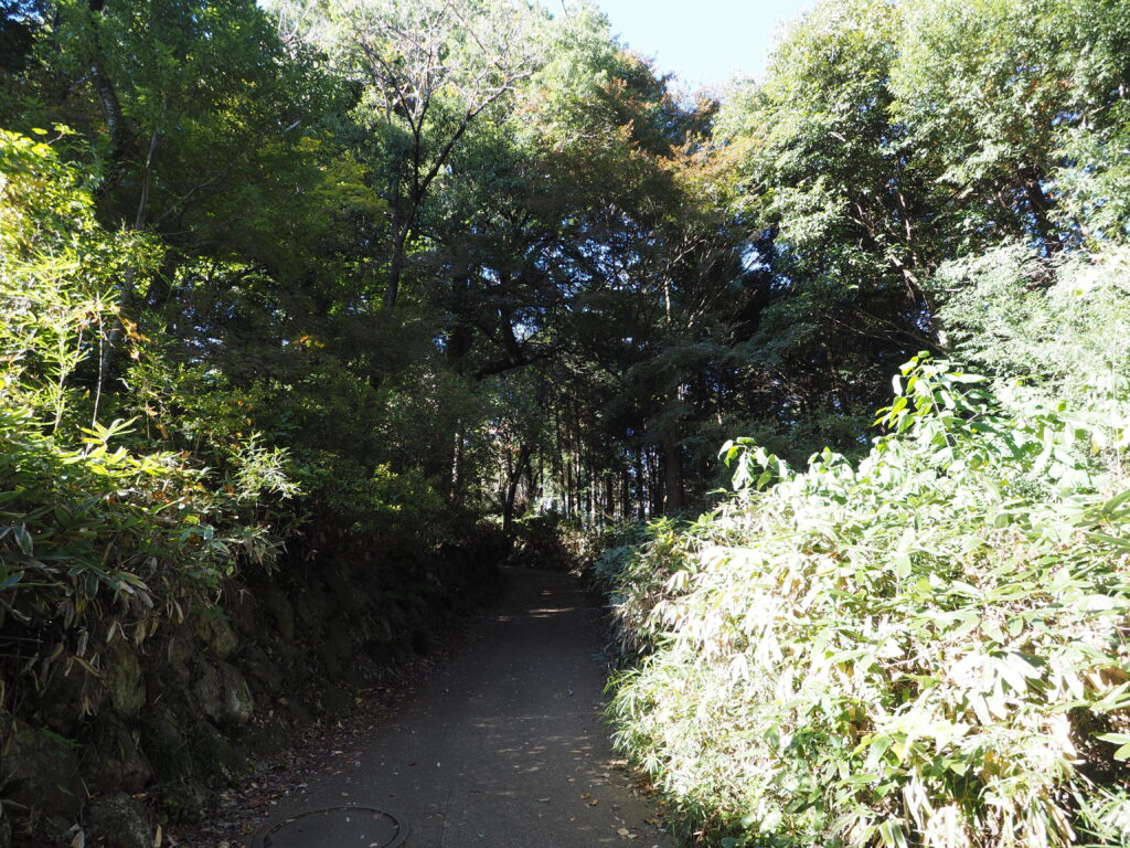 埼玉県飯能市の天覧山登山道です。舗装された歩道と木々が写っています。