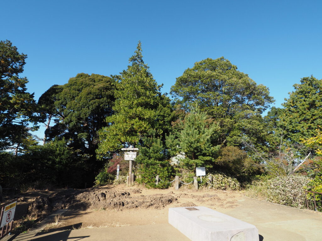 埼玉県飯能市の天覧山の山頂の画像です。山頂には案内看板と木々などが写っています。