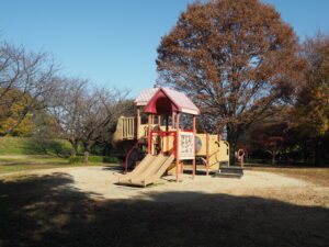 埼玉県川越市の川越水上公園の遊具広場、滑り台の上には屋根がついています。青空の中に遊具と木々が写っています。